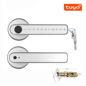 Biometrics Lock For Indoor Door