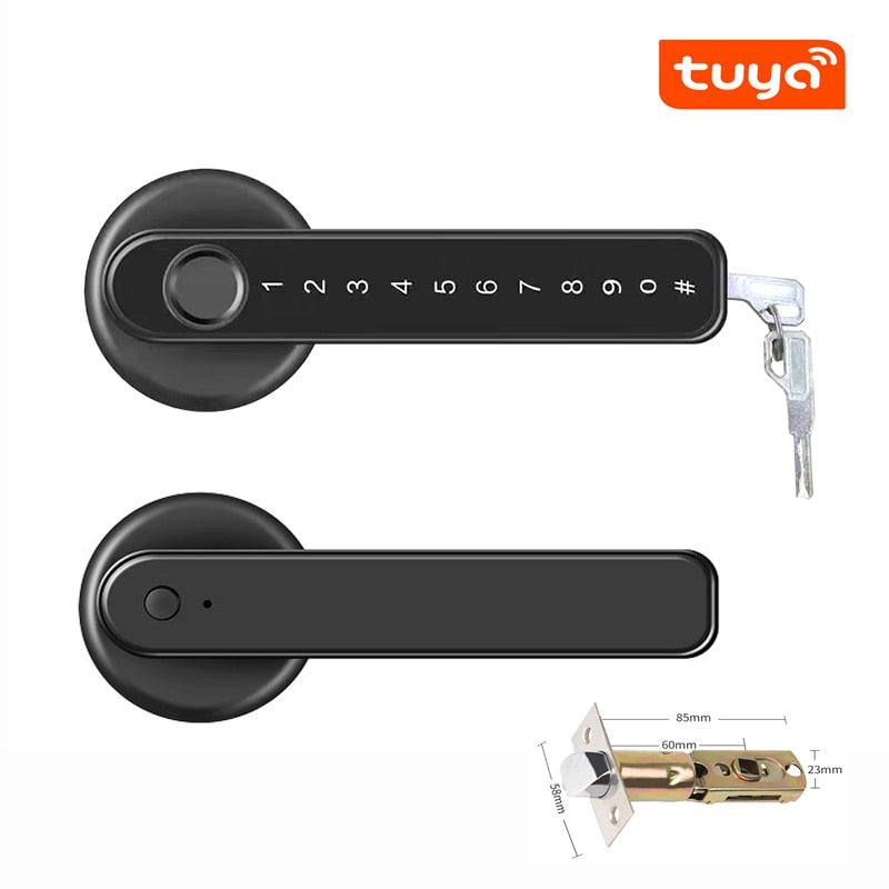 Biometrics Lock For Indoor Door