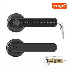 Biometrics Lock For Indoor Door