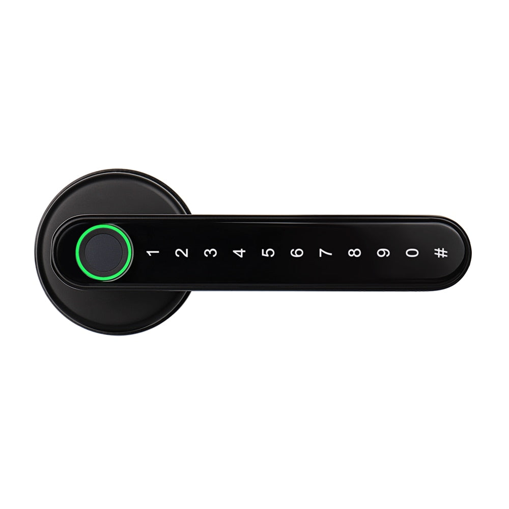 Biometrics Lock For Indoor Door