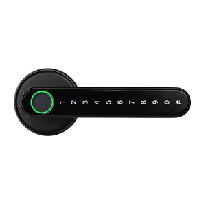 Biometrics Lock For Indoor Door