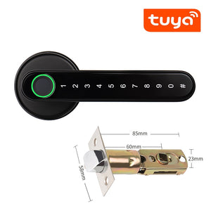 Biometrics Lock For Indoor Door