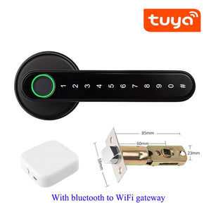 Biometrics Lock For Indoor Door
