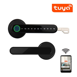 Biometrics Lock For Indoor Door