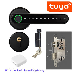 Biometrics Lock For Indoor Door