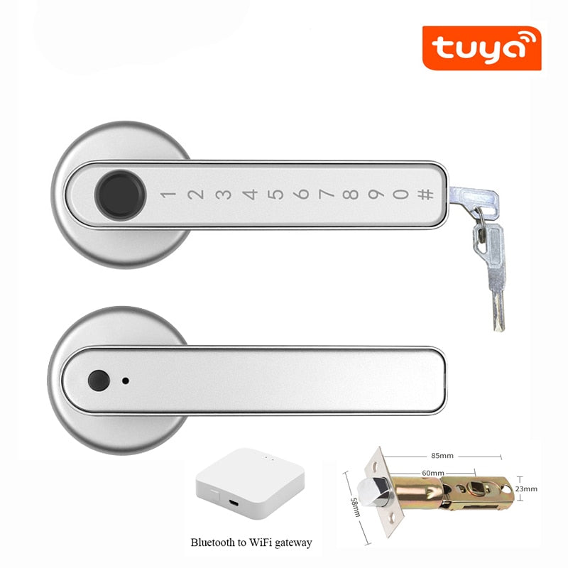 Biometrics Lock For Indoor Door