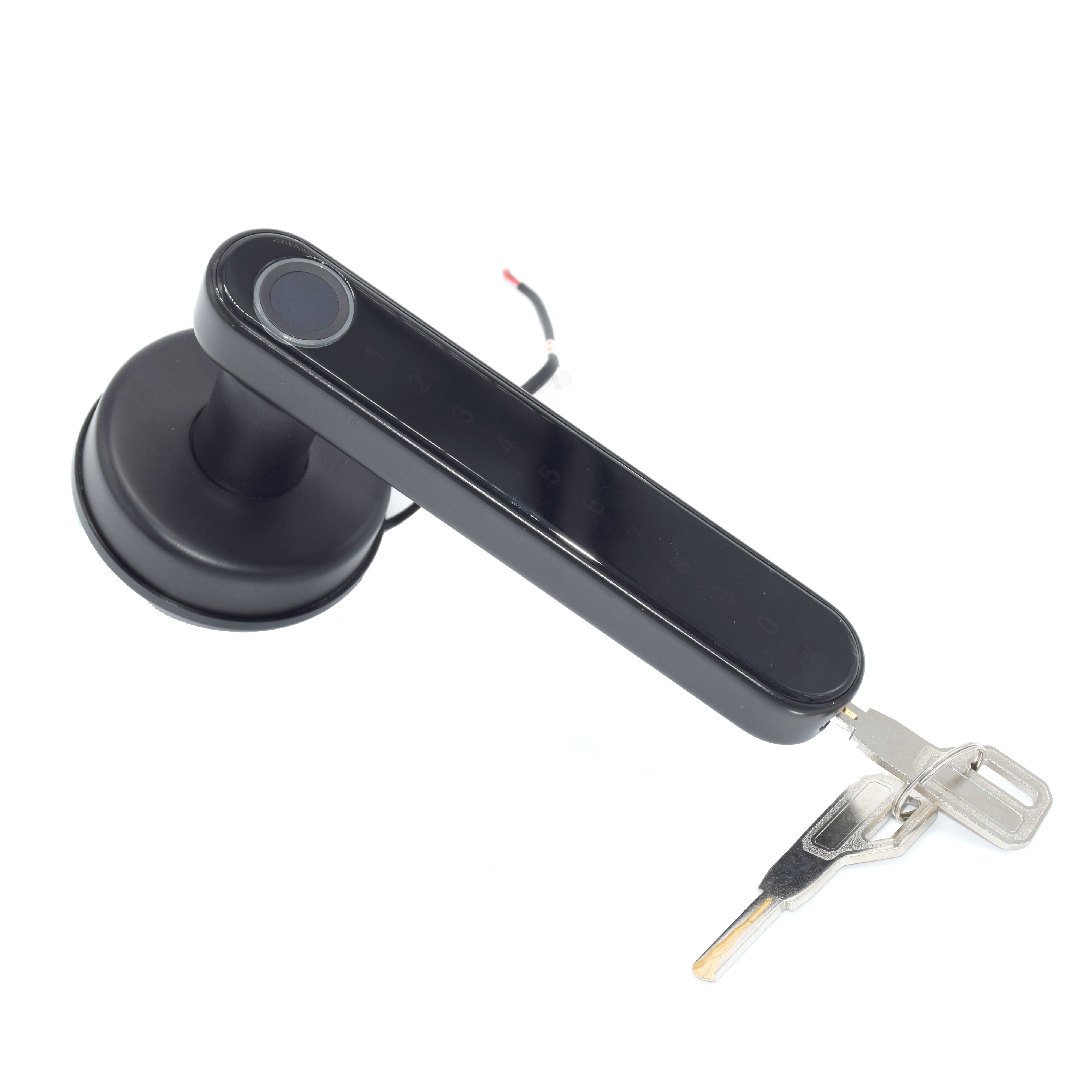 Biometrics Lock For Indoor Door
