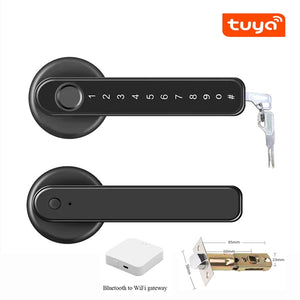 Biometrics Lock For Indoor Door