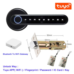 Biometrics Lock For Indoor Door