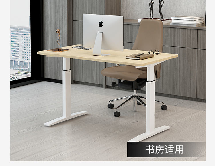 Electric Sit Stand Desk