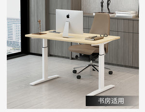Electric Sit Stand Desk