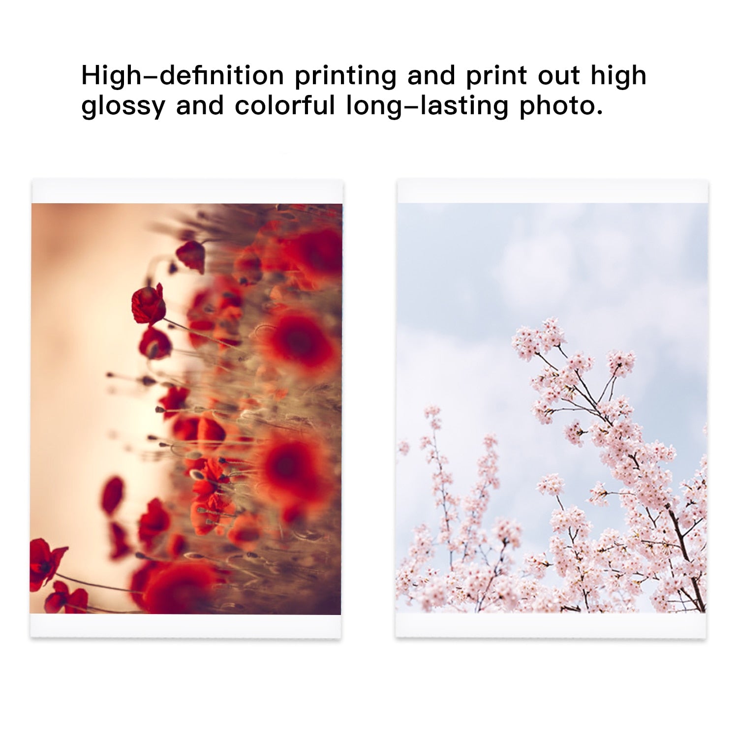 Portable Full-Color Printer
