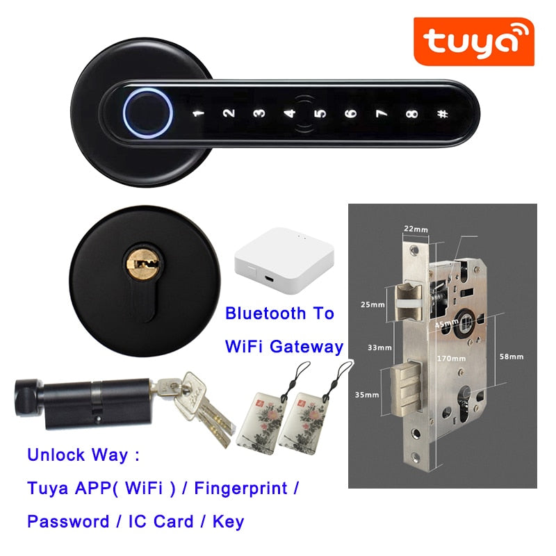 Biometrics Lock For Indoor Door