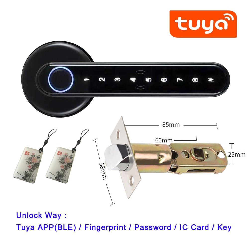 Biometrics Lock For Indoor Door