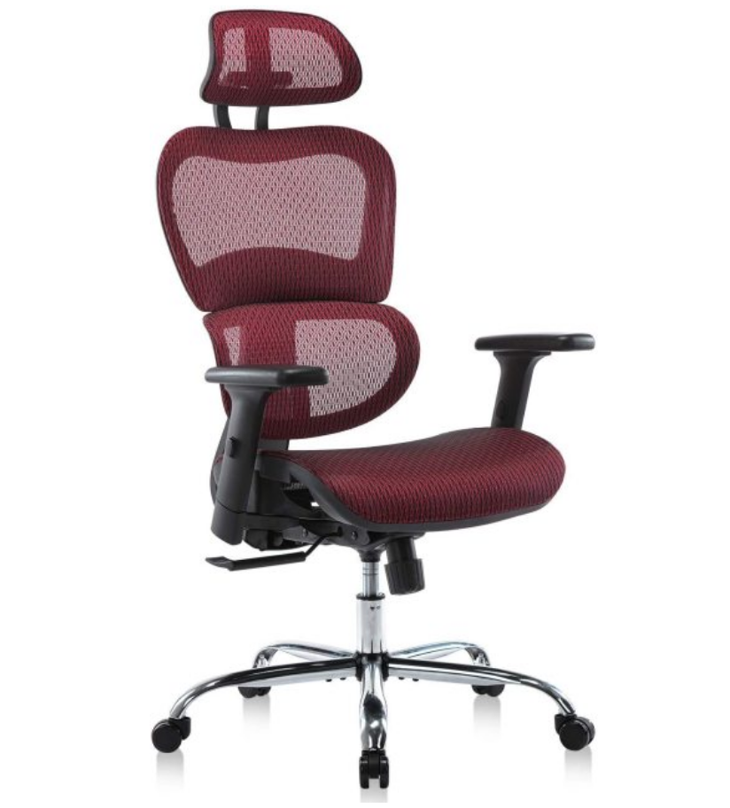 Ergonomics Mesh Chair