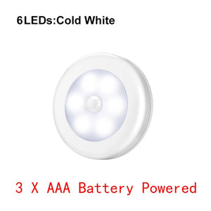 Motion LED Light