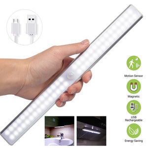 Motion LED Light