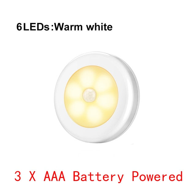 Motion LED Light