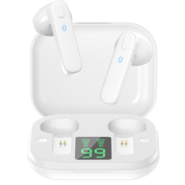 R20 Waterproof Earphone