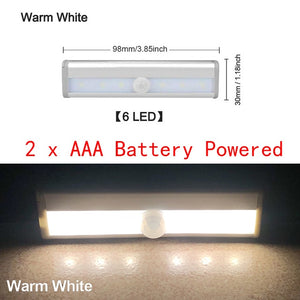 Motion LED Light