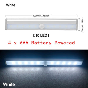 Motion LED Light