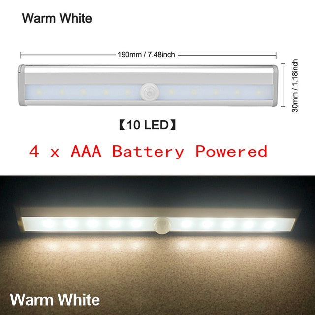Motion LED Light