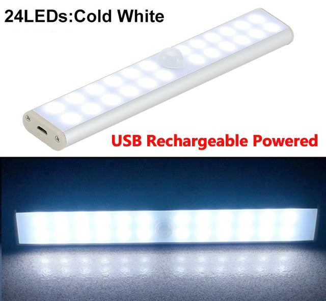 Motion LED Light