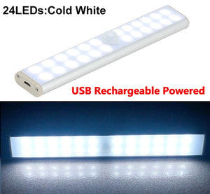 Motion LED Light