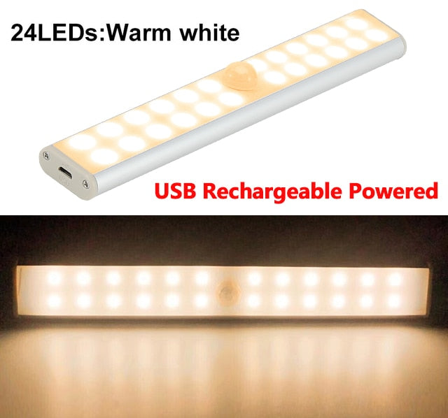 Motion LED Light