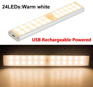 Motion LED Light
