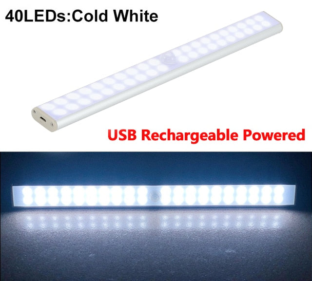 Motion LED Light