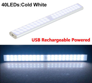 Motion LED Light