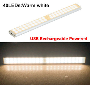 Motion LED Light