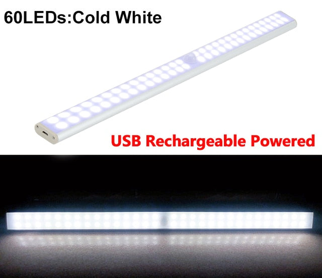 Motion LED Light