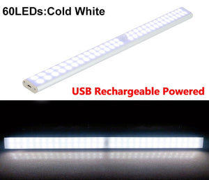 Motion LED Light