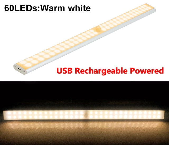 Motion LED Light