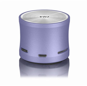 Mini Wireless Speakers