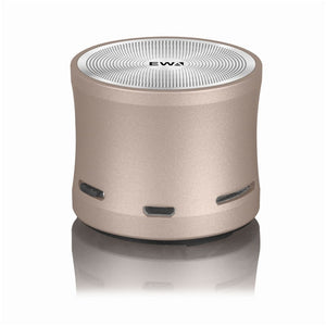 Mini Wireless Speakers