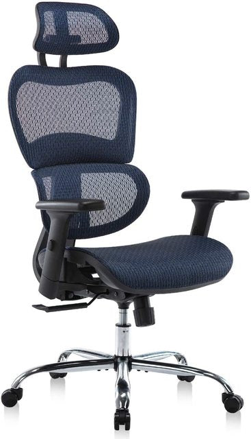 Ergonomics Mesh Chair