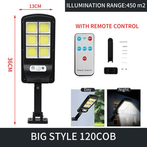 Sensor Outdoor Light